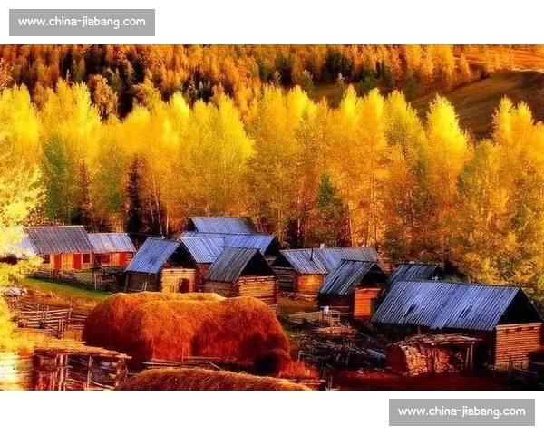 秋日阿勒泰，那束橙色的暖光